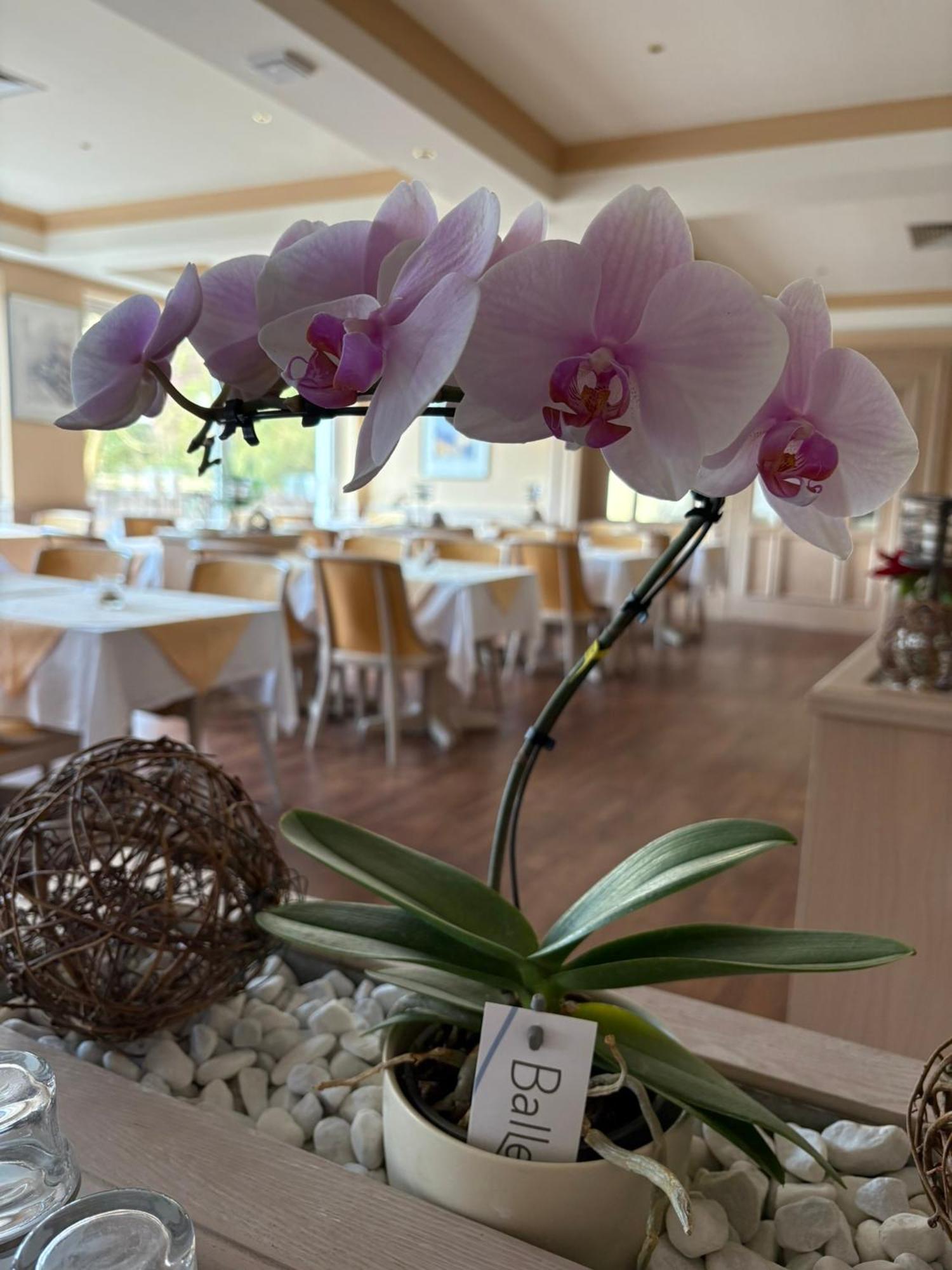 Hotel Kieferneck バート・ベヴェンセン エクステリア 写真